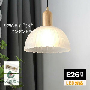 y_gCg k _CjO KX  ݂艺 |V[O _Ng[@VƖ LED Ɩ@1 led _ Vv ͋C fUC   g@Q