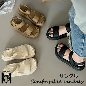 RtH[gT_ T_ fB[X T_ }WbNe[v  X|[cT_ Xgbv  Ȃ ₷ RtH[g L b y^R obNxg 