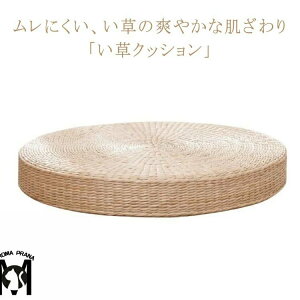 10cm~  a_ NbV  a40cm tANbV CeA ᔽ a  i`f V[gNbV K y ʋC