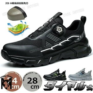 SC  [Jbg IV SC  Y _C 傫TCY 29cm ʋC y ₷ ɂ AC Ռz ƌC ʋC S |c AEgh