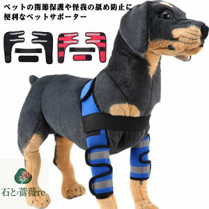 ֐ ܎ ybgpPApi pGT|[^[ ֐߃veN^[ V rߖh~/֐߂̉/pveN^[ p 