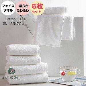 yg₷tFCX^IztFCX^I 6ZbtFCX^I z 100  ^I ze^Ix z   oX^I ƒp35×70cm Ɩp z e