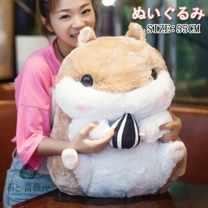 y^CvD[IznX^[ ʂ݁@nX^[@ ʂ LN^[ObY v[g@ʂ݁@NX}X v[g a nX^[@˂ ʂ