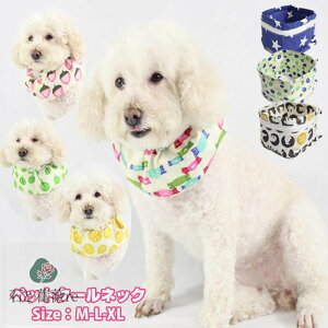 ۗܕt   N[lbN  ĕ ⊴ _炩 ې Ђ Lp M ΍ N[o_i N[ oh lbNN[[ Mǖh~ MǑ΍   ^ 