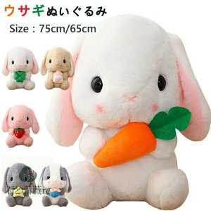 yӂӂ픧G zIʂ ETM  e rbg 65cm 75cm v[g 蕨 傫 o^Cf[ a  JCC @NX}X v[