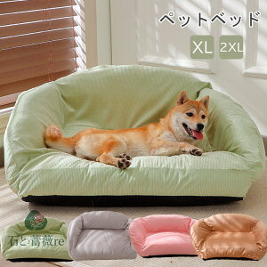 ybgp p  xbh ėp ybgxbh L  xbh  xbh ӂӂ {[ ʔN Jo[OĐ􂦂  xbh ėp  L ˂@ybg\t@  p@ӂӂ }bg 