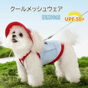 ۗܕt  EFA ĕ ۗܕt N[ Oh~ Ђ ⊴ ڐG⊴ ʋCQ ^ ^ ΍ MǑ΍ Ăh~ ₦ ₷ {^t v[g Mtg 