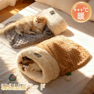 Lxbh LpQ xbh Q ybgxbh ybgnEX L ~p 􂦂 }bg ybgpi Q zc LQ ybgp }bg@Q ӂӂ Lp QԂ  ӂƂ L ybg