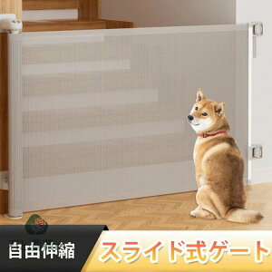 xr[Q[g ybgQ[g@hA Lb`  Ki Ԃ Kip [ xr[Q[g 140 tFXybgQ[g Ki  Ki xr[ ybgK[h ۈ牀 tȒP R 