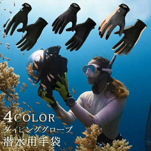 gQh~ j O[u ނ h ~ p E₷ _CrOO[u  T[tBO[u } Ng O΍ fB[X Y