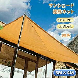 悯VF[h TVF[h VF[h 5m×4m F `F J[L CG[ R[q[ ՔMlbg  N[VF[h UVJbg ȃGl Ռ ՔM ho  ʂ ډB AEghA 