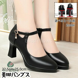 ANXgbv |CebhgD Zp[g@L@nCq[ pvX  q[ ₷ 傫TCY pvX nCq[  vbgtH[  fB[X p