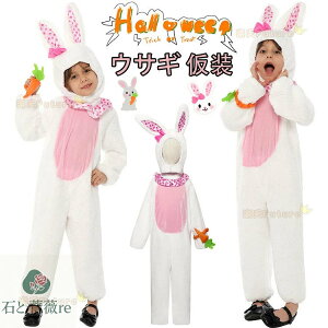 nEB  w q   ̎q j̎q  RX`[    jW LbY  wRXvߑ I[C p[eB[ a Cx