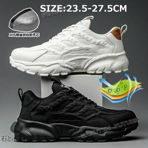   SC  [Jbg y Xj[J[ SC  Y ʋC SC fB[X Ȃ y 23.5 24 25 26 27 ɂ ₷ GANbV ΍ S 