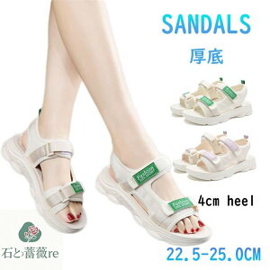 ȂT_ fB[X  X|[cT_ 4cm y T_ ₷   fB[XT_ ɂȂ ItBXT_ r IV L d Xj[J