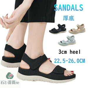 ȂT_ fB[X  X|[cT_ y T_ ₷ Ȃ 3cm  ItBXT_ r d  fB[XT_ Xj[J[T_ 