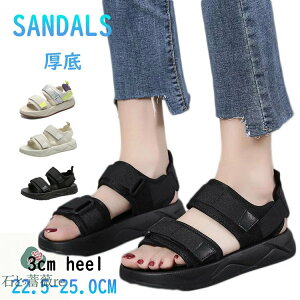 ȂT_ fB[X  X|[cT_ 3cm y ₷ T_   fB[XT_ ɂȂ ItBXT_ r IV L d Xj[J