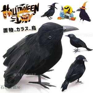 nEB[pi u JX G   Be  ߋ ΂ d|  nEB  p[eB[  ObY v[g ~ w  Ǐ i 