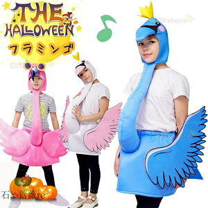 nEB ߑ q  t~S RXv  RX`[ w WjA ΂̒nEB ߑ q   nEB I[C j̎q ̎q  p[eB