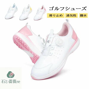 StV[Y fB[X _C  C St h _炩 ~ EH[LOV[Y X|[cV[Y ϋv h\[ bV ʋC K h ₷ 