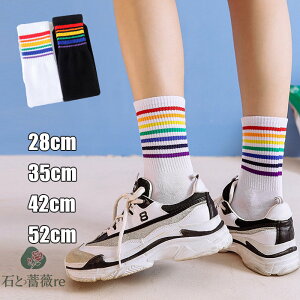 D][ \bNX LbY C{[C _X C{[ nC\bNX qbvzbv   C C{[ F q fB[X j̎q ̎q _X h ؍ 