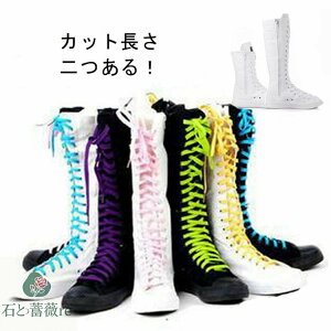   Xj[J[ nCJbg Y fB[X _Xu[c O JWA WjA ҂ݏグ Ou[c Y fB[X C LbY _XV[Y C V[Y RXv 