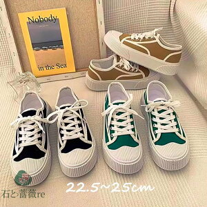 Xj[J[ fB[X lC ؍ [q[ ɂ ₷ y ʋC ɂ 풅p JWA  t@bV 