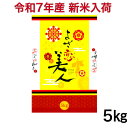 【新米入荷・数量限定】令和7年産 高知県産 よさ恋美人 5キロ入り