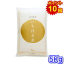 【ポイント10倍・新米入荷】令和7年産 福井県 いちほまれ 5キロ入り