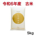 【発送直前に精米】令和6年産 福井県 いちほまれ 5キロ入り
