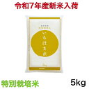 【新米入荷・特別栽培米】令和7年産 福井県 いちほまれ 5キロ入り