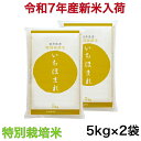 【新米入荷・特別栽培米】令和7年産 福井県 いちほまれ 10Kg(5キロ×2袋)