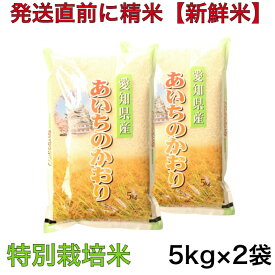 【特別栽培米】令和5年産 愛知県産プレミアムあいちのかおり 10キロ(5キロ×2袋)
