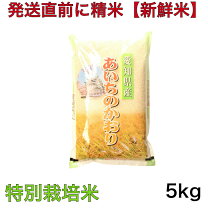 楽天市場】あいちのかおり 2kgの通販