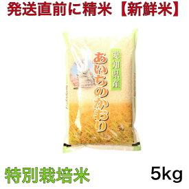 【特別栽培米】令和5年産 愛知県産プレミアムあいちのかおり 5キロ入り