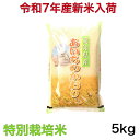 【新米入荷・特別栽培米】令和7年産 愛知県産プレミアムあいちのかおり 5キロ入り