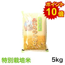 楽天市場】あいちのかおり 玄米 30kgの通販
