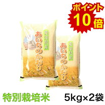 楽天市場】あいちのかおり 30kgの通販
