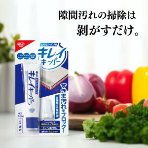 RjV {h ͂V[O LCL[p[ 40ml #06087 1 | |  ֗ObY R gC ֌ 