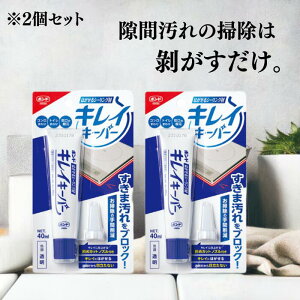 RjV {h ͂V[O LCL[p[ 40ml #06087 2Zbg | |  ֗ObY R gC ֌ 