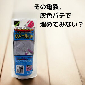 11/4 20:00`X܃|Cgup ƒ뉻wH E[pe O[ 500g wt 1 2Zbg