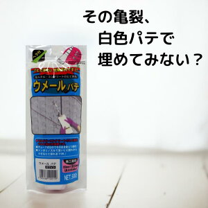 11/4 20:00`X܃|Cgup ƒ뉻wH E[pe zCg 500g wt 1 2