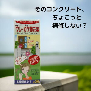 11/4 20:00`X܃|Cgup ƒ뉻wH ȒPCV[Y EJPp Zg 200g 1 2