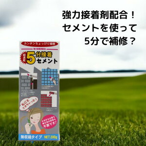 家庭化学工業 簡単補修シリーズ 超速乾5分接着 セメント 200g 1個 2個