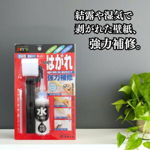 12/3-12/11 X܃|Cgup z̗F ϐǎ̂Lbg TN-30