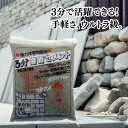 ★在庫入替え価格 なくなり次第終了★ 家庭化学工業 3分接着セメント 1.5kg 無収縮 ブロック レンガ タイル 瓦 補修 …