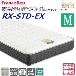 tXxbh RX-STD-EX Z~_u  21cm dxbh }bgX xAXvO ʎdl _ujbgn { 