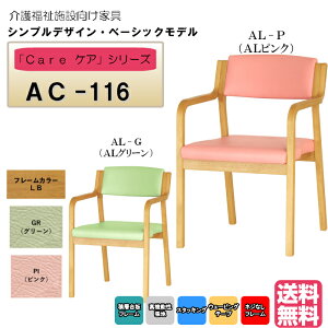 @{݁EҌؐX^bLO`FA CguE@Care-AC-116@O[@sN@1r S̋xオ֗ i a@EE{݁EfCT[r