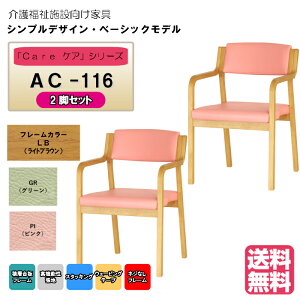@{݁EҌؐX^bLO`FA CguE@Care-AC-116@O[@sN@2r S̋xオ֗ i a@EE{݁EfCT[r