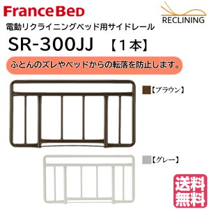 tXxbh dxbhpTCh[ SR-300JJ 1{iPij xbh 肷 J[2F FranceBed 